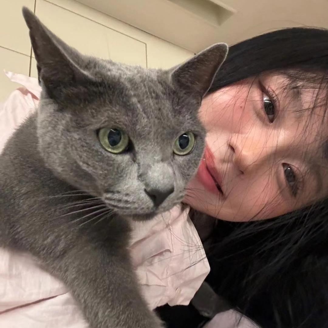 美羊羊大王