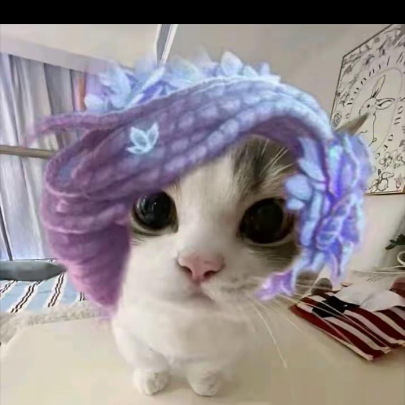 佰顺-瑞瑞好物分享