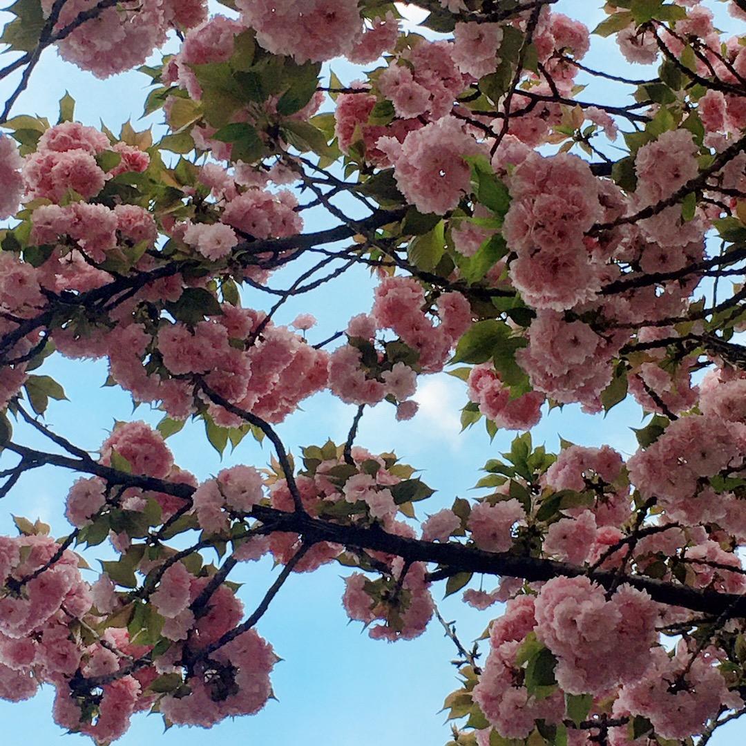 🏠有2⃣️宝贝🌸