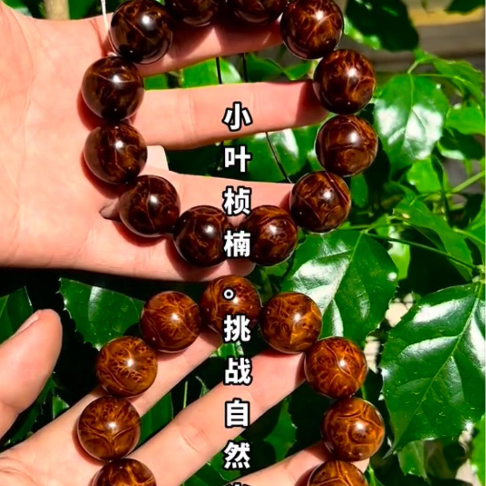 刘姑娘金丝楠
