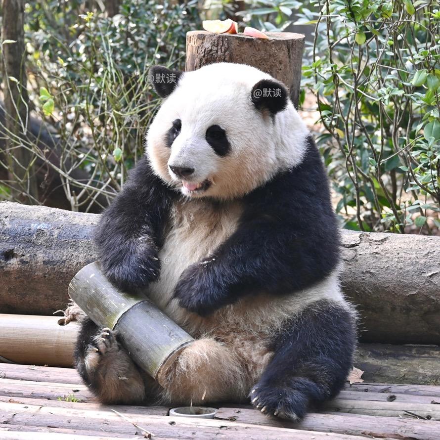 默读