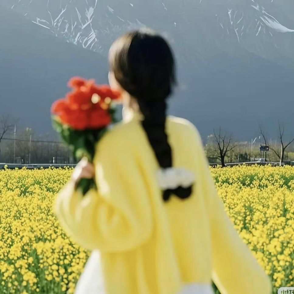 友芮云