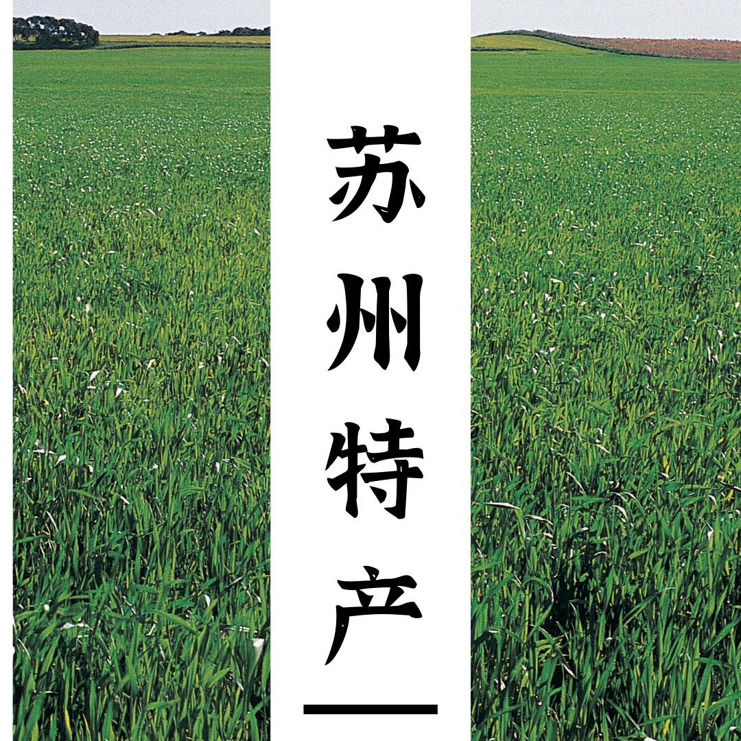 常熟市鸵鸟趣野户外用品有限公司