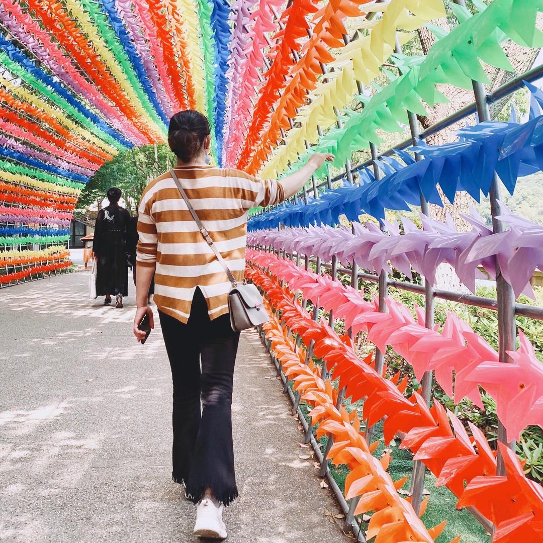 春天_奔奔
