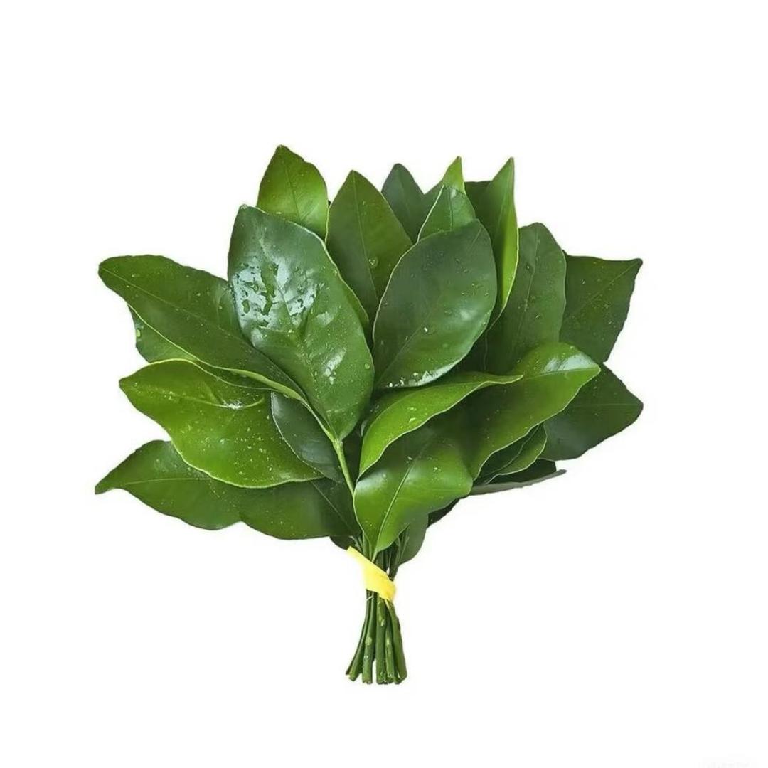 小九九