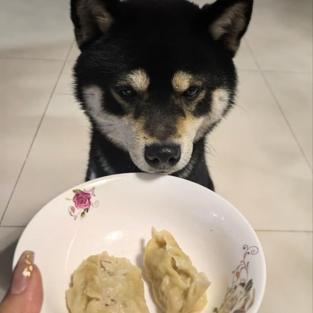 丑蛋