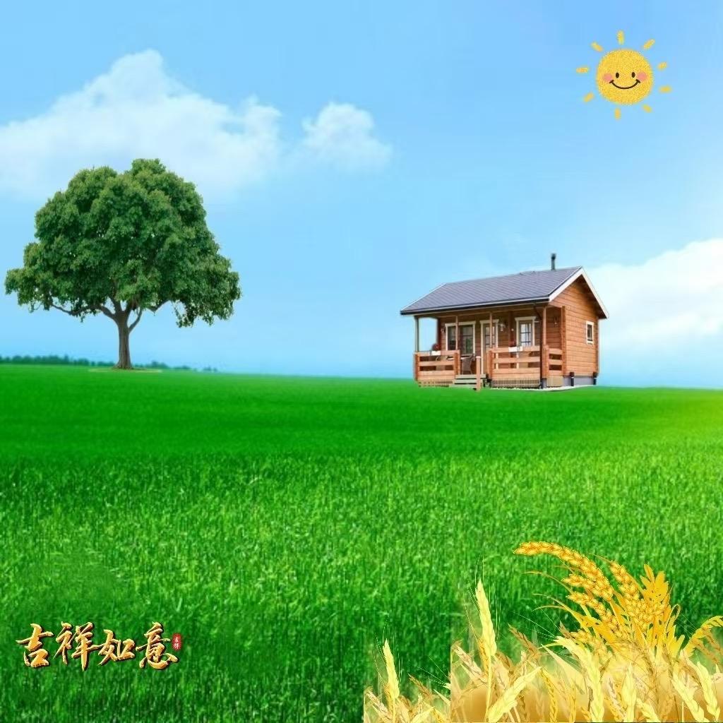 羽毛