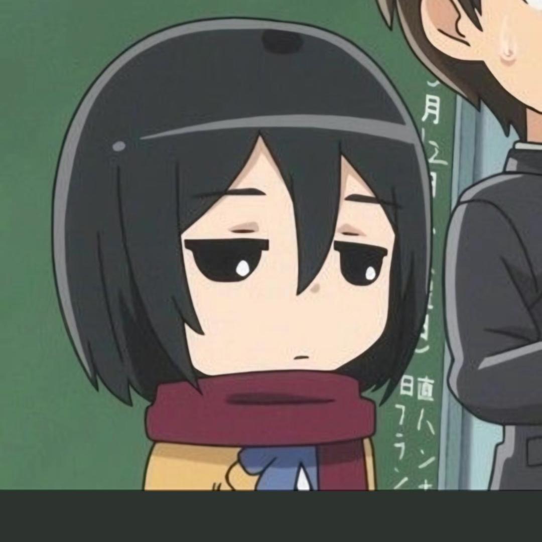 mikasa