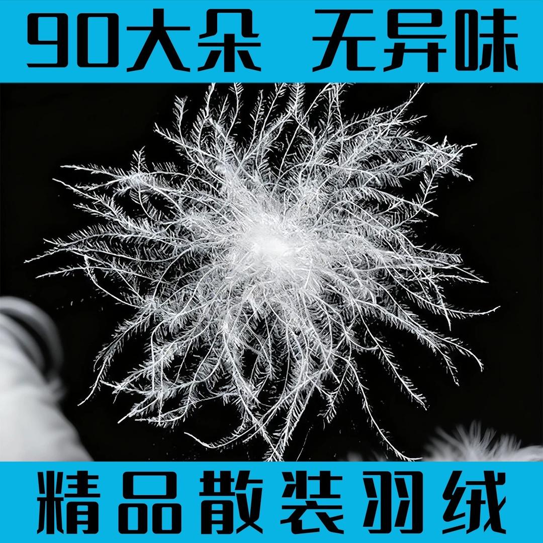 瑞雪大朵羽绒