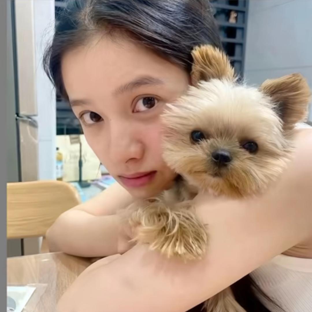 A.张开心😽