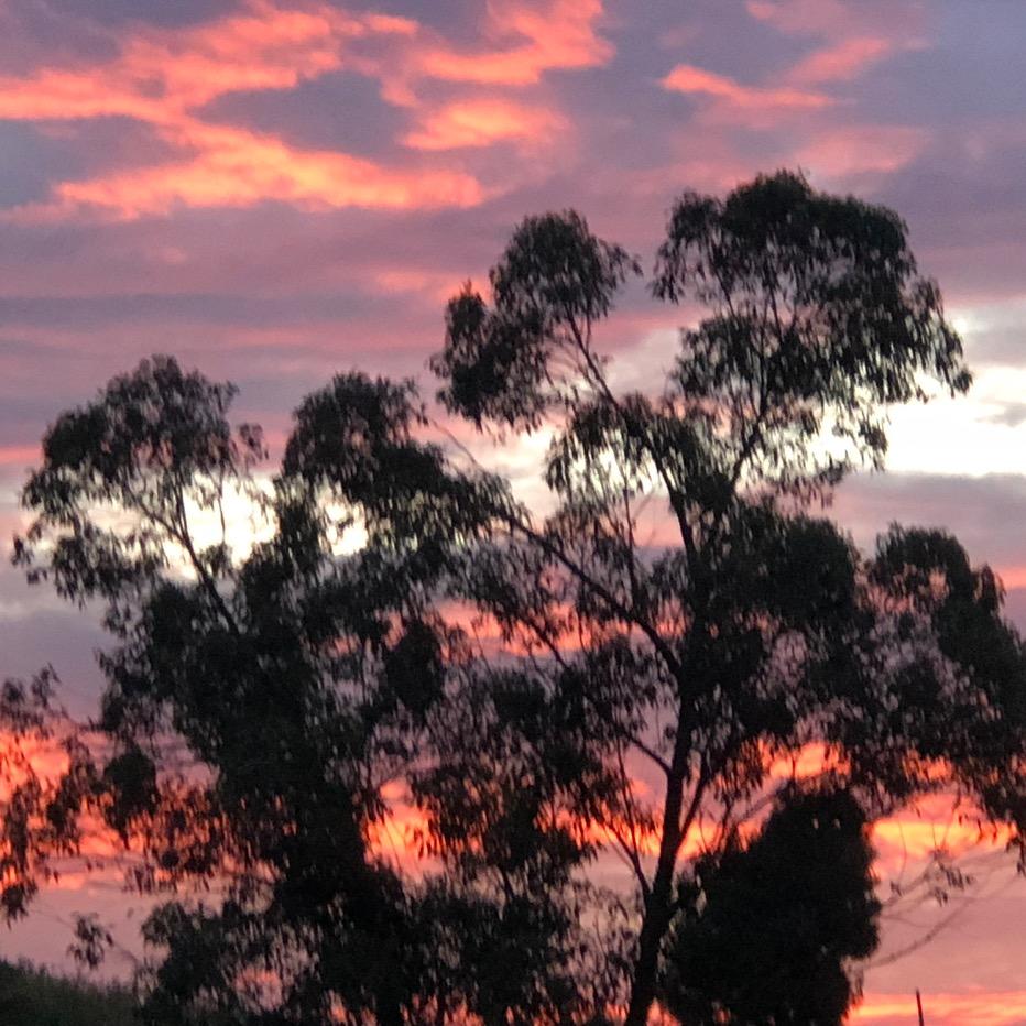 回忆，你那一抹微笑