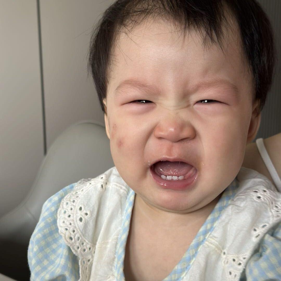 清欢记