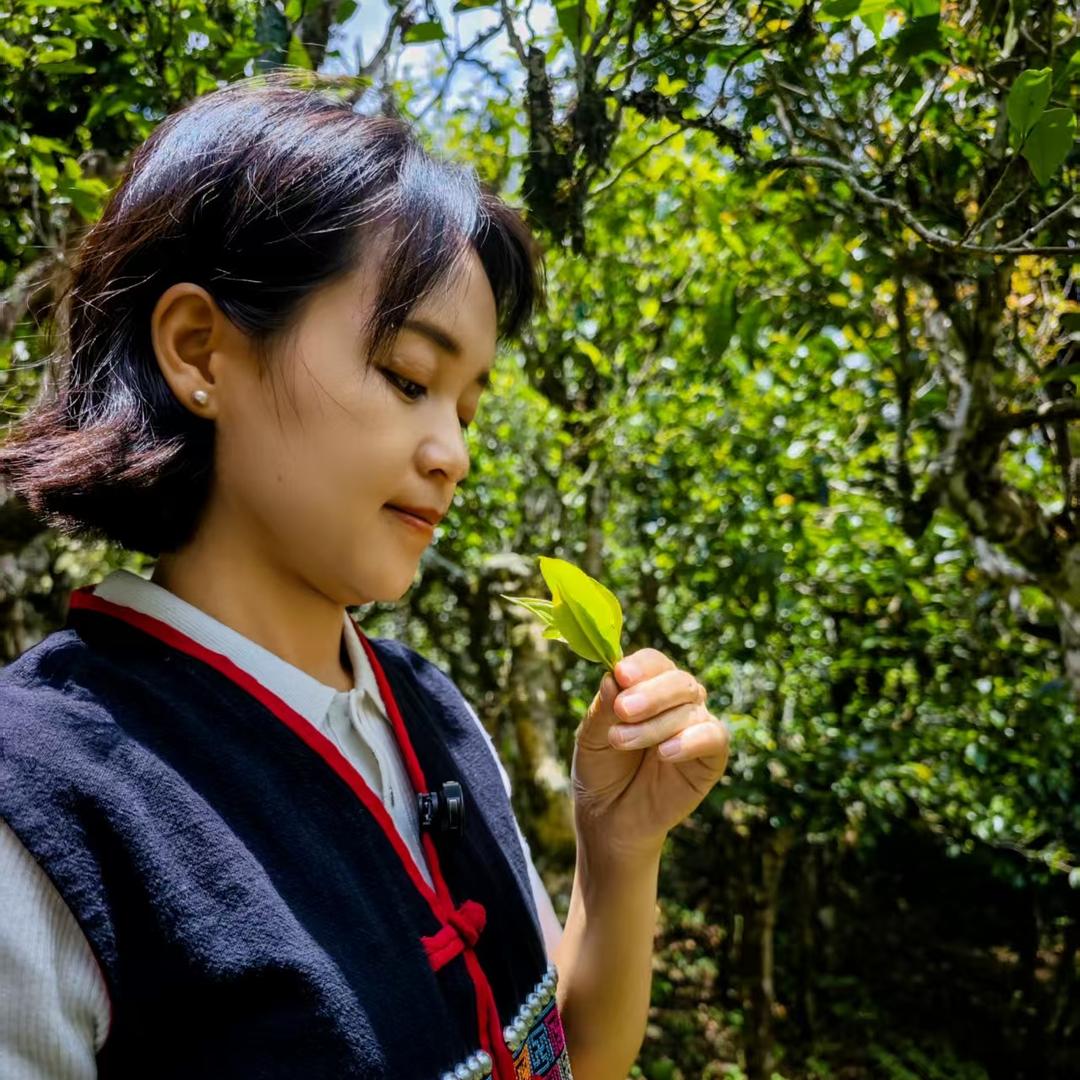 阿晴的茶生活