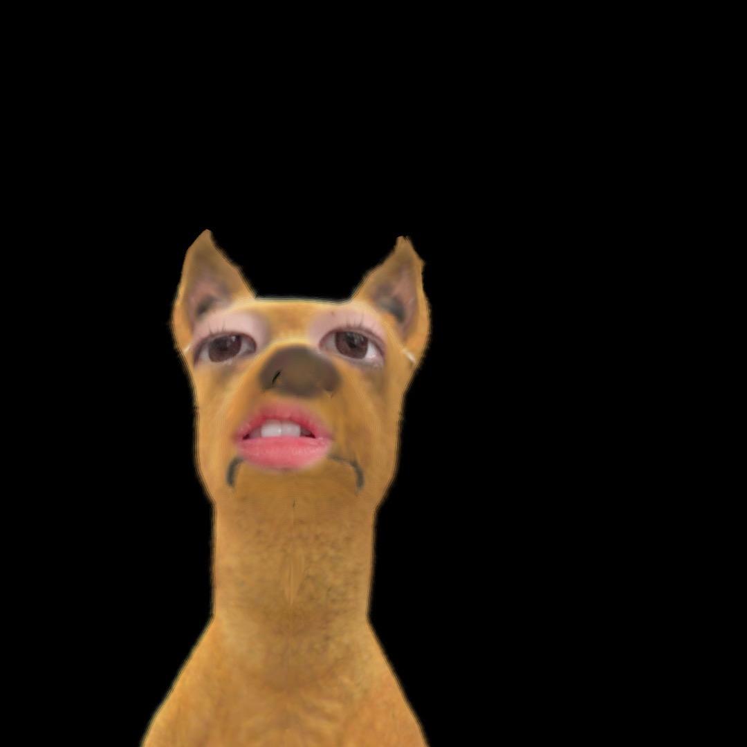 龙