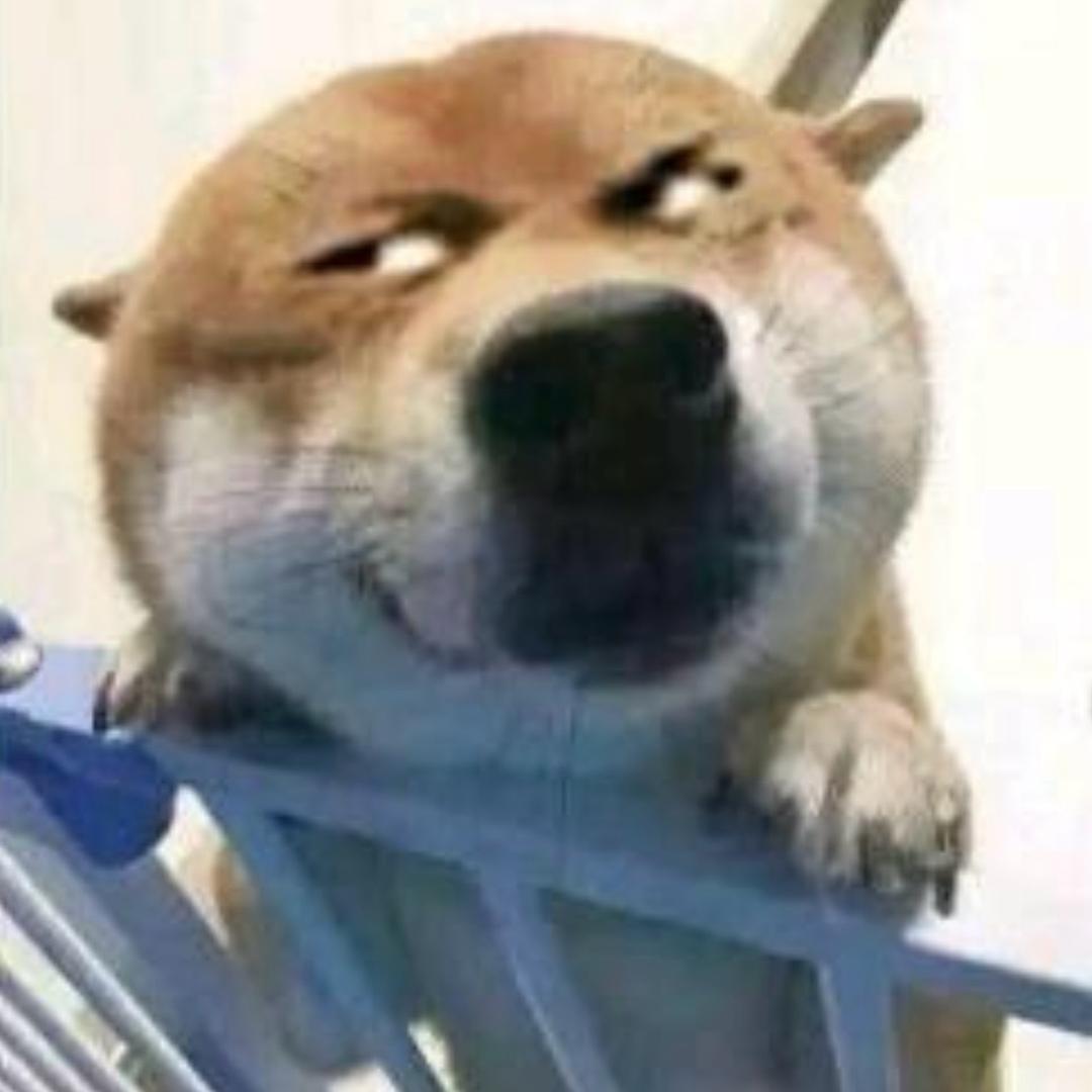 小羊是我的开心果