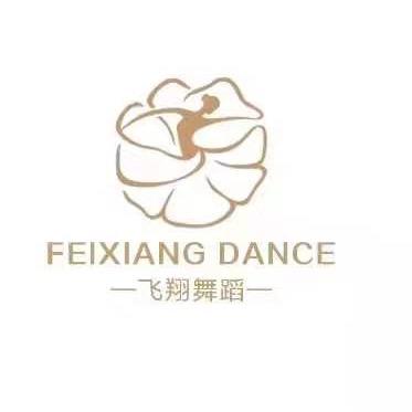 飞翔舞蹈工作室（洛阳）