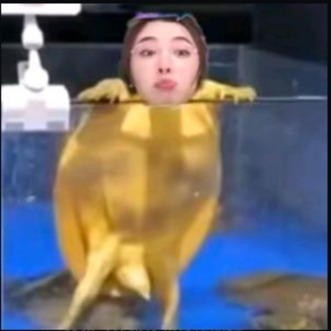暴躁老卓