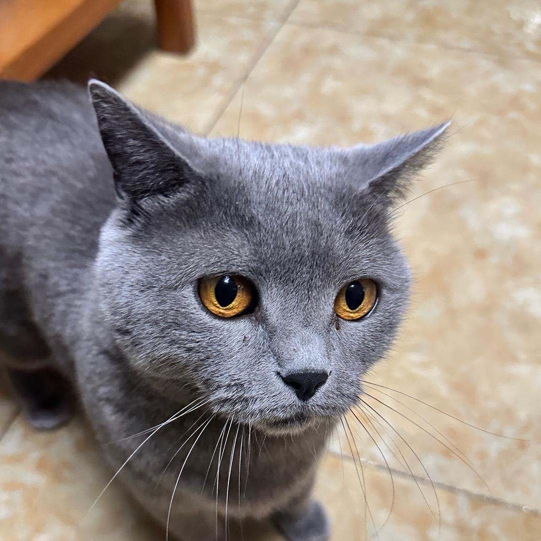 ➻Z♛Q 拿铁不加糖