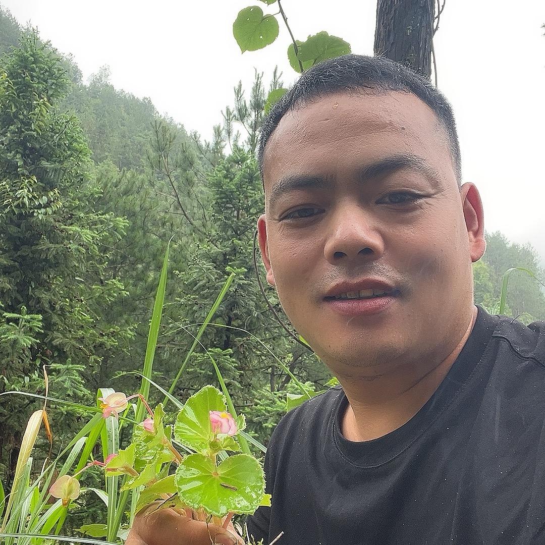 养蜂人小锋