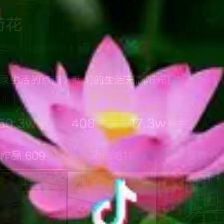 茆