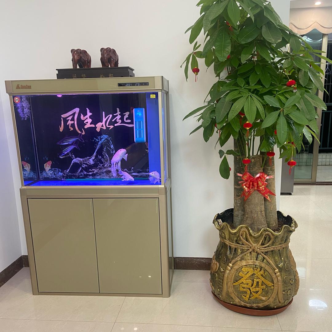 可大风#