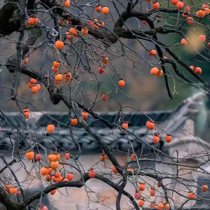 保温，防水，防腐。