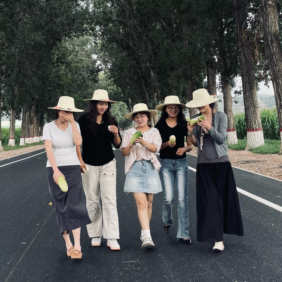 薯乡门地（甘肃）