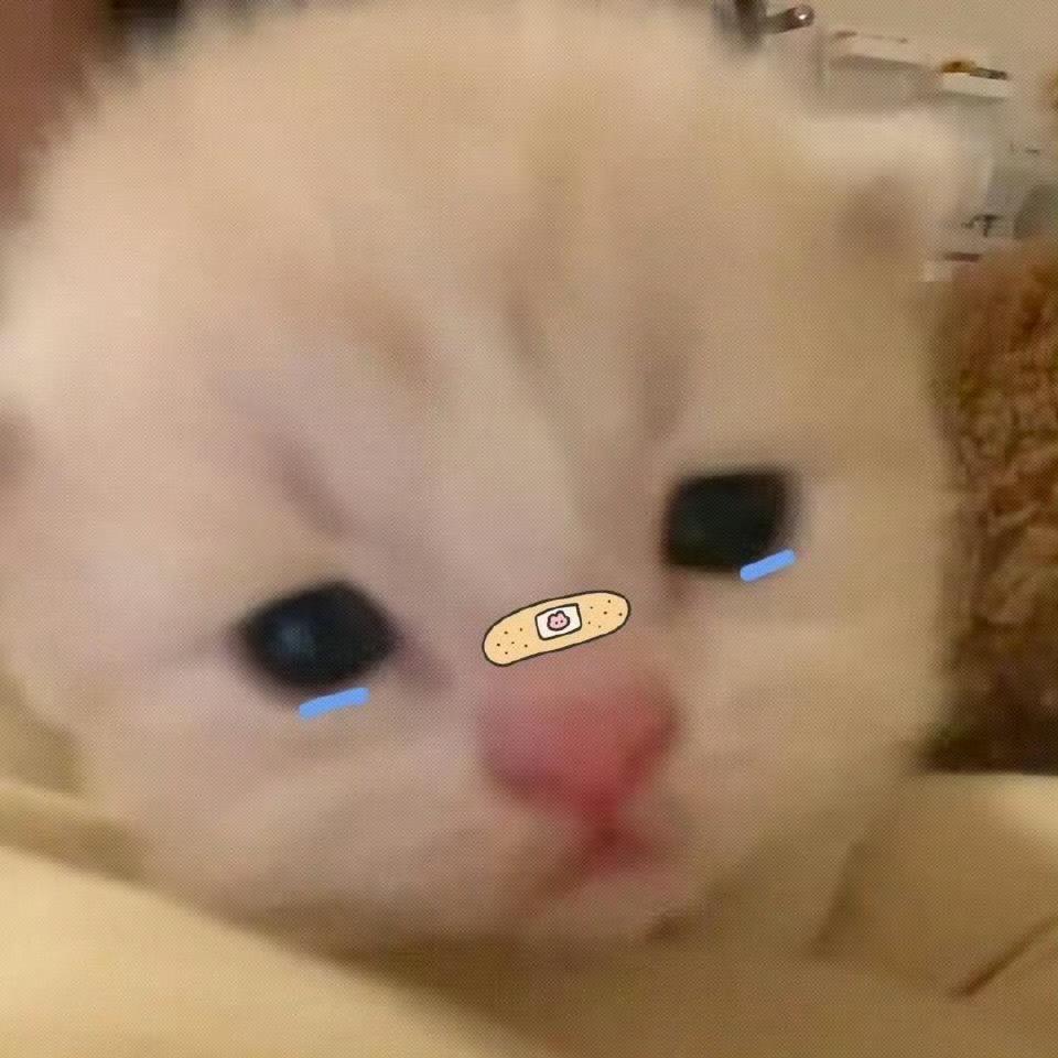 去你⌯'▾'⌯°的