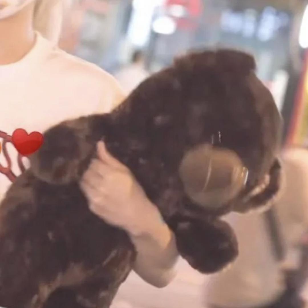 没有心的可爱敢敢（无脑爱八仙子版