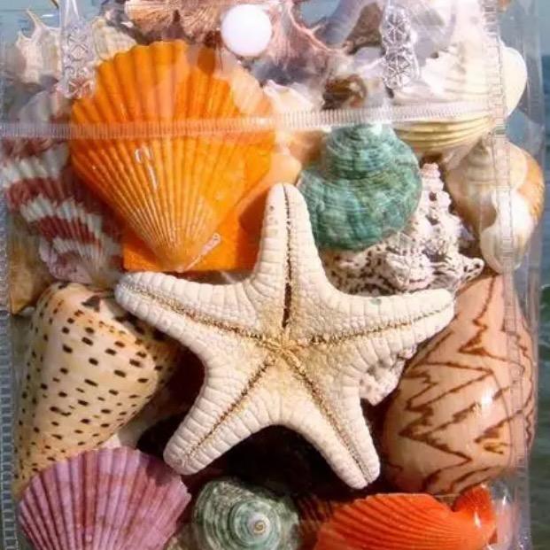 🍃初夏微凉🌸