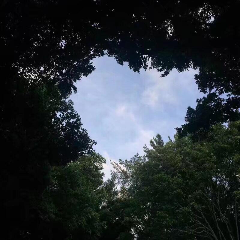 潮汕密浪爱