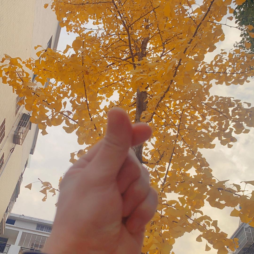 独自·去偷欢·