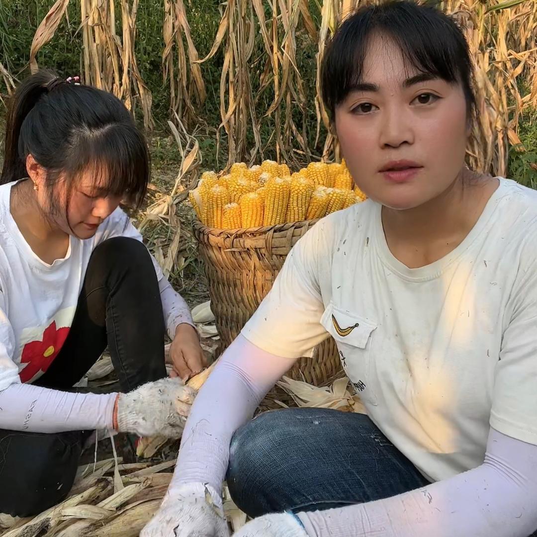 洋洋蓉蓉五姐妹