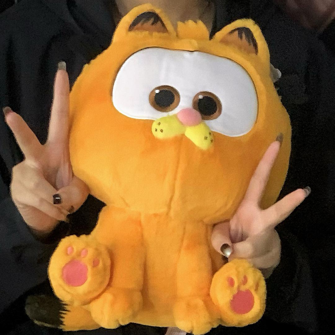 邪恶加菲猫大王.