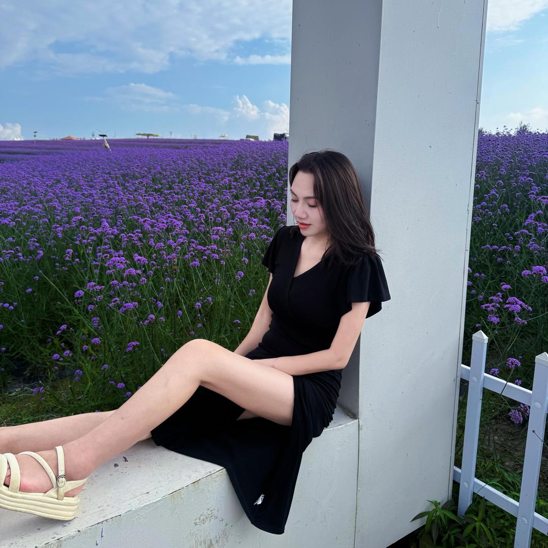 向阳（杨）花🌻