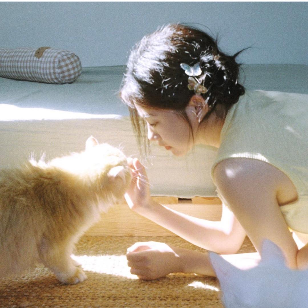 橙吆虫（🍠同名）