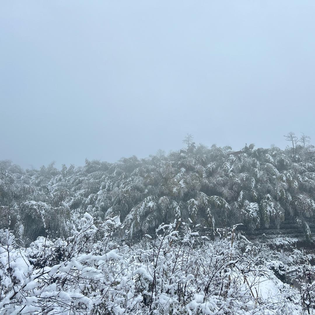 岁月静好🔛💙