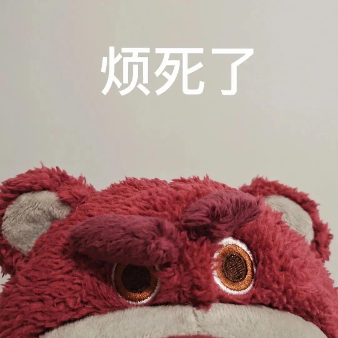 猫猫y