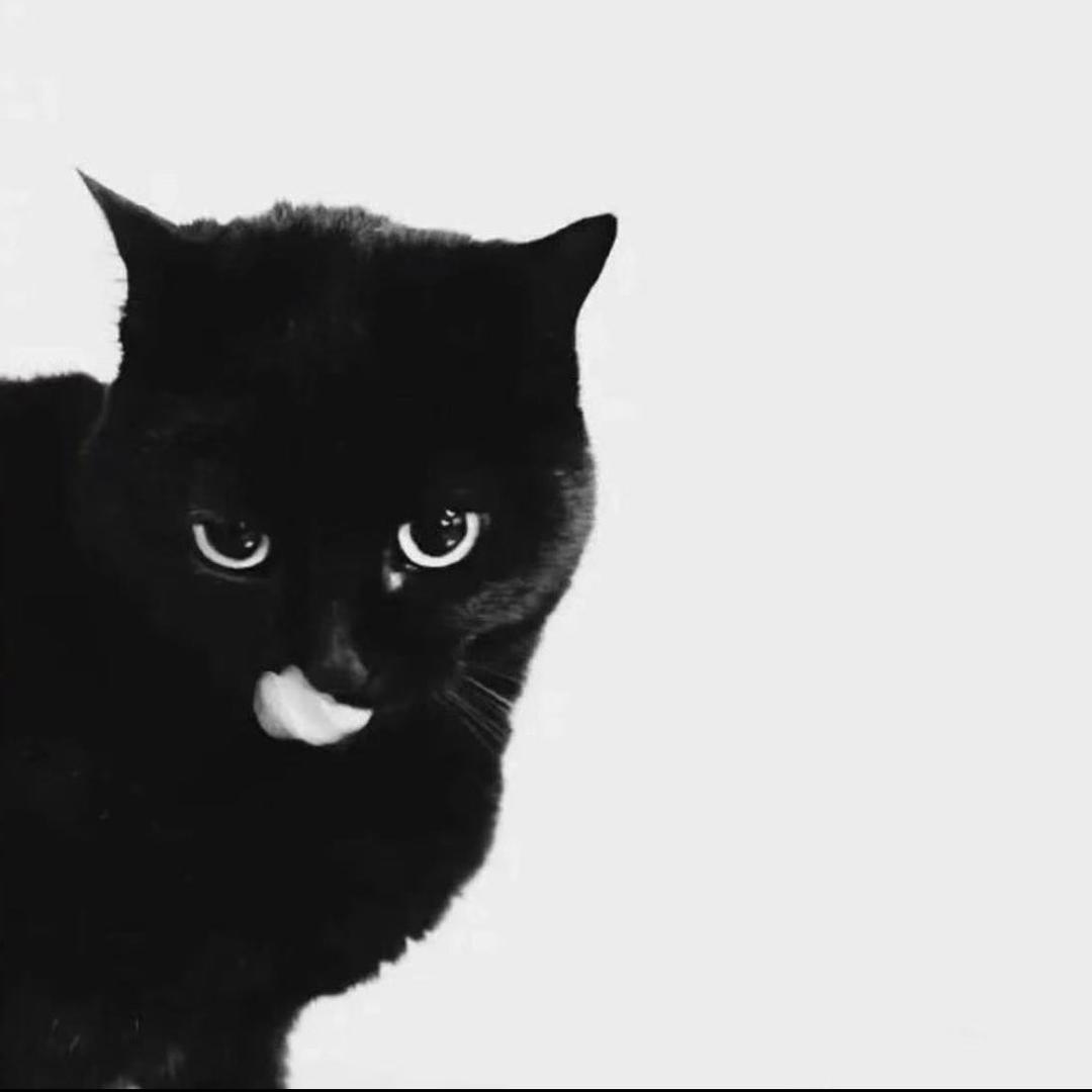 加特林爆杀蚊子🦟