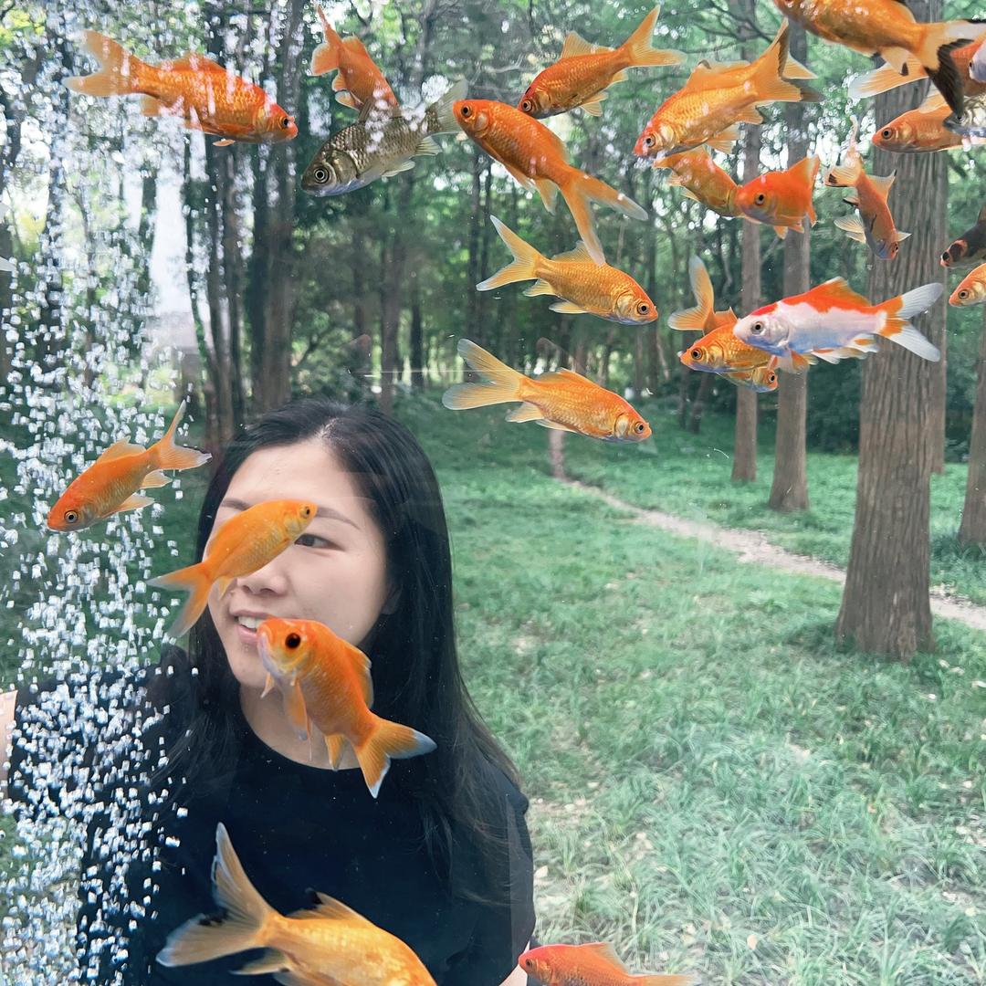 不懂起什么名称
