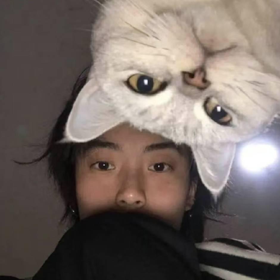 陈平安¤