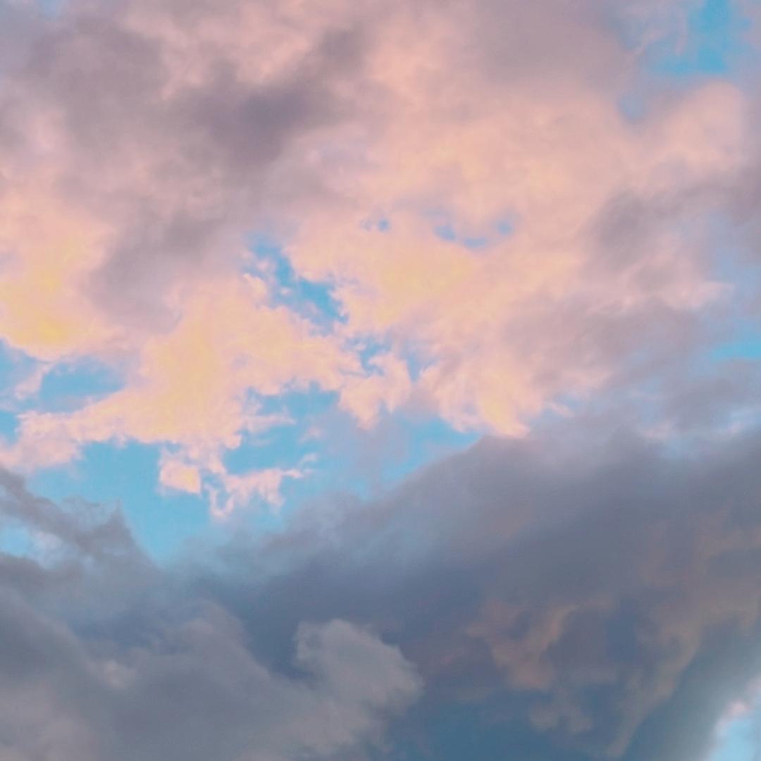 只愿🍯🧁初见