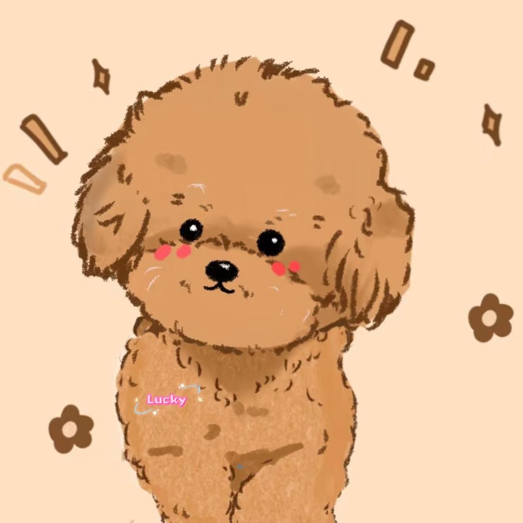 Lucky是只小泰迪❤️