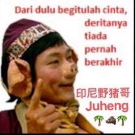 🏝🐗印尼野猪哥🐗🏝