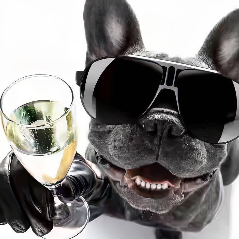 衡大新能源科技车批发