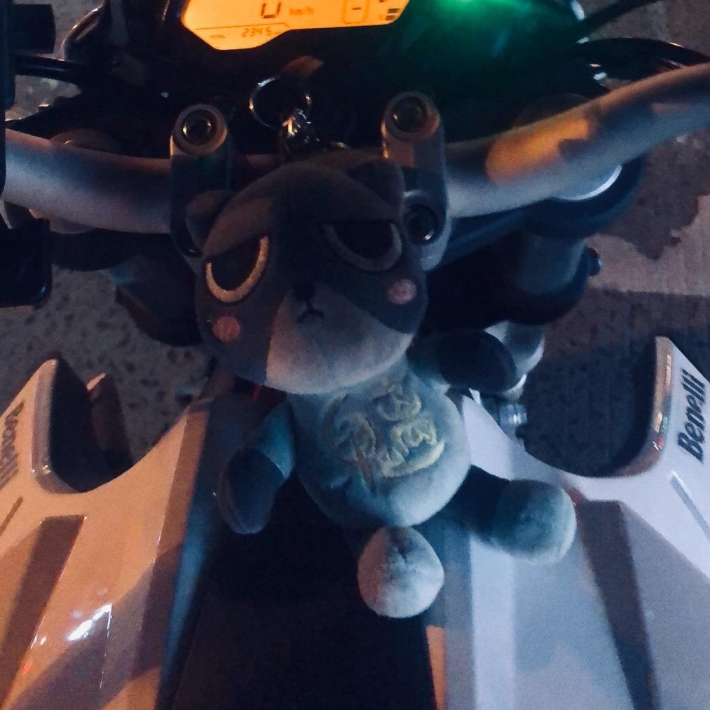 小马