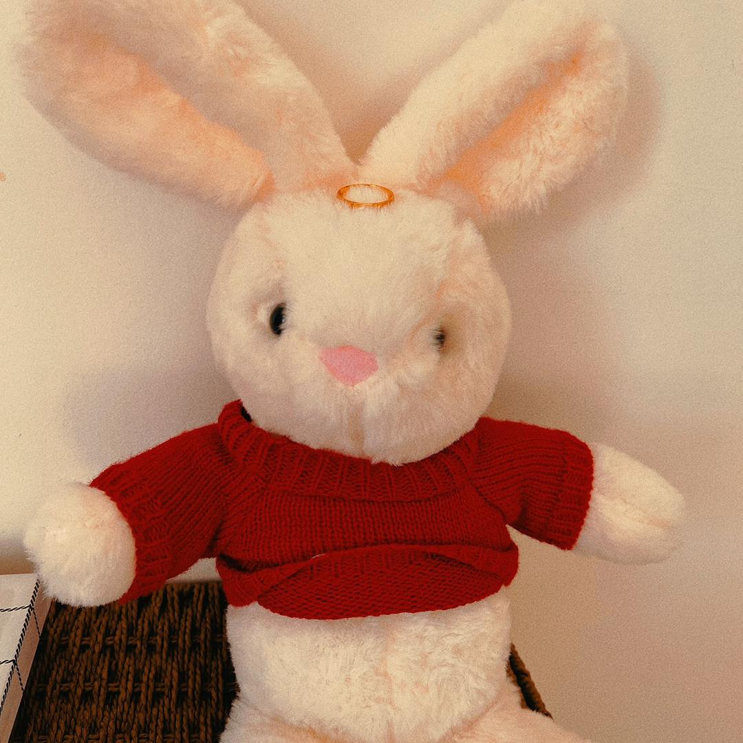 大白兔🐰奶糖🍬