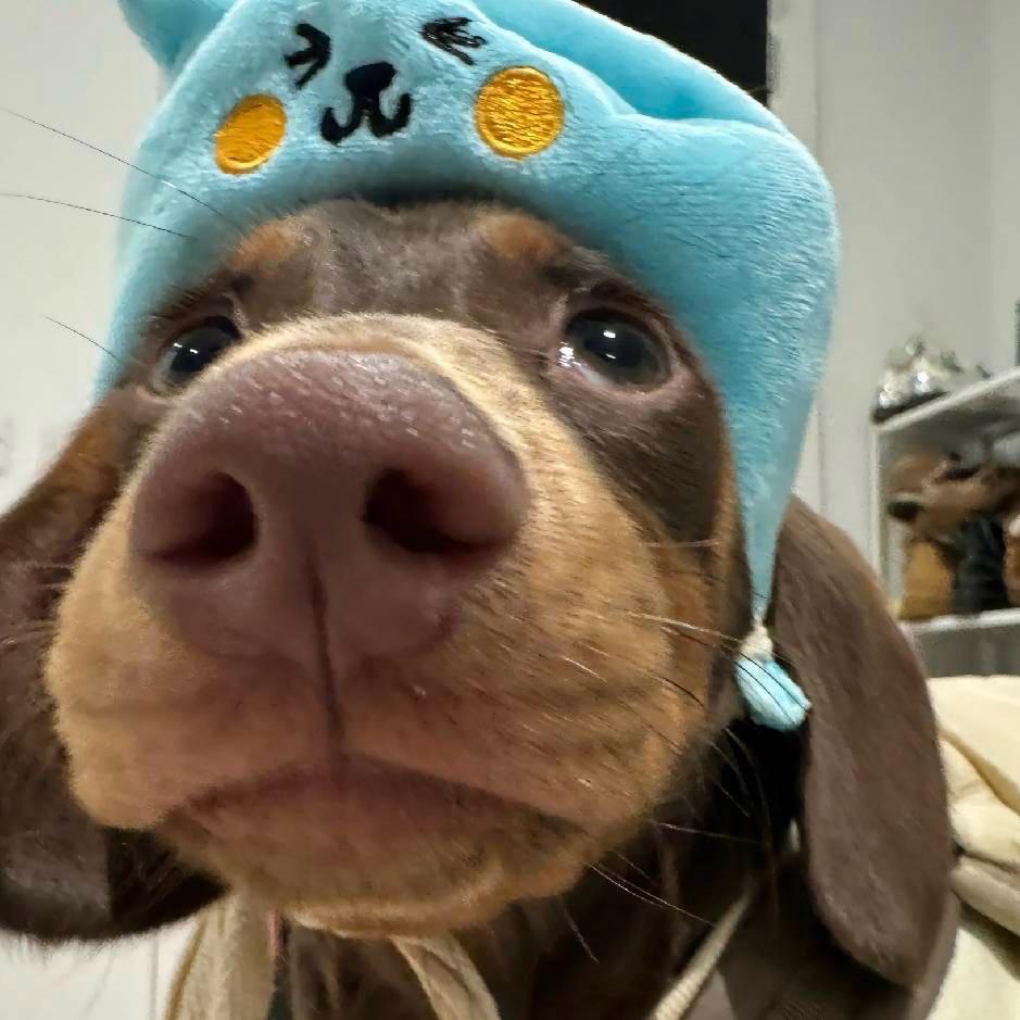 八步最深情的男孩