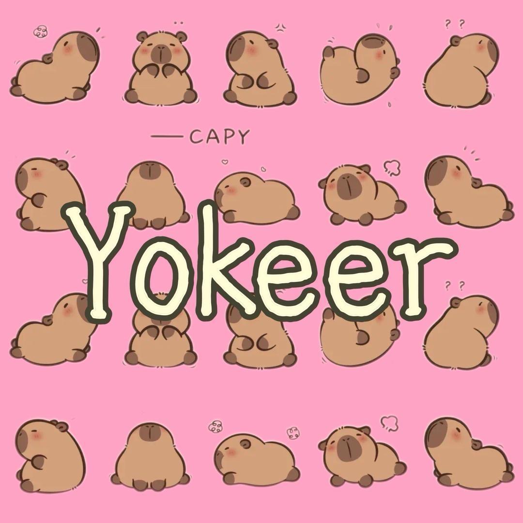YoKEer（2号）