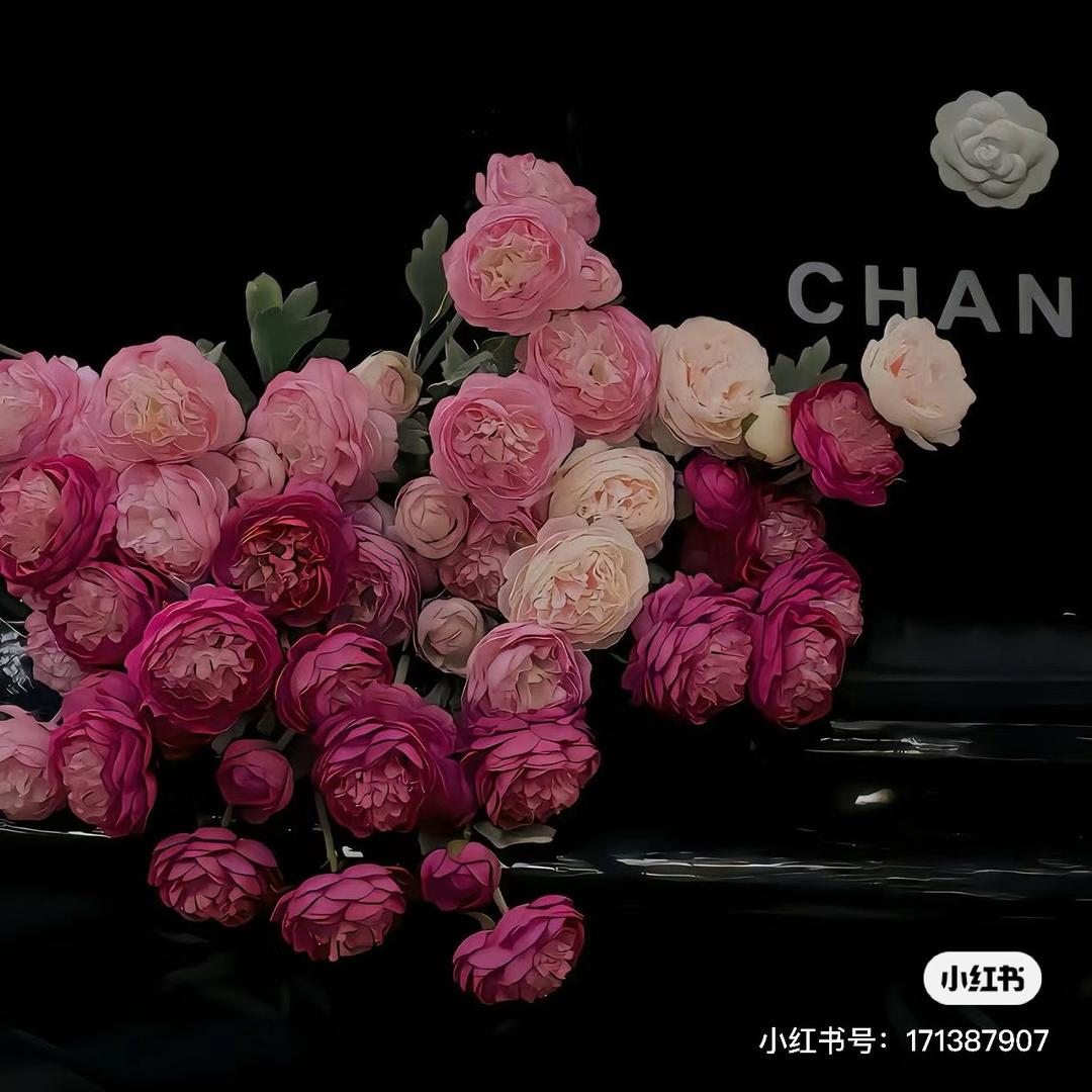 -欢喜💐